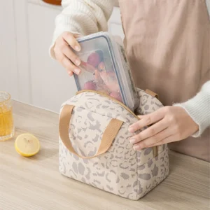 Small Portable Thermal Lunch Bag